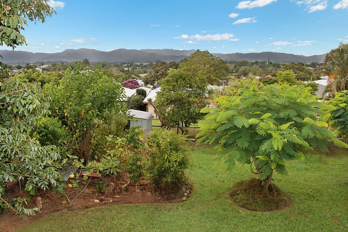 103 Byangum Road, Murwillumbah - Thumbnail 3