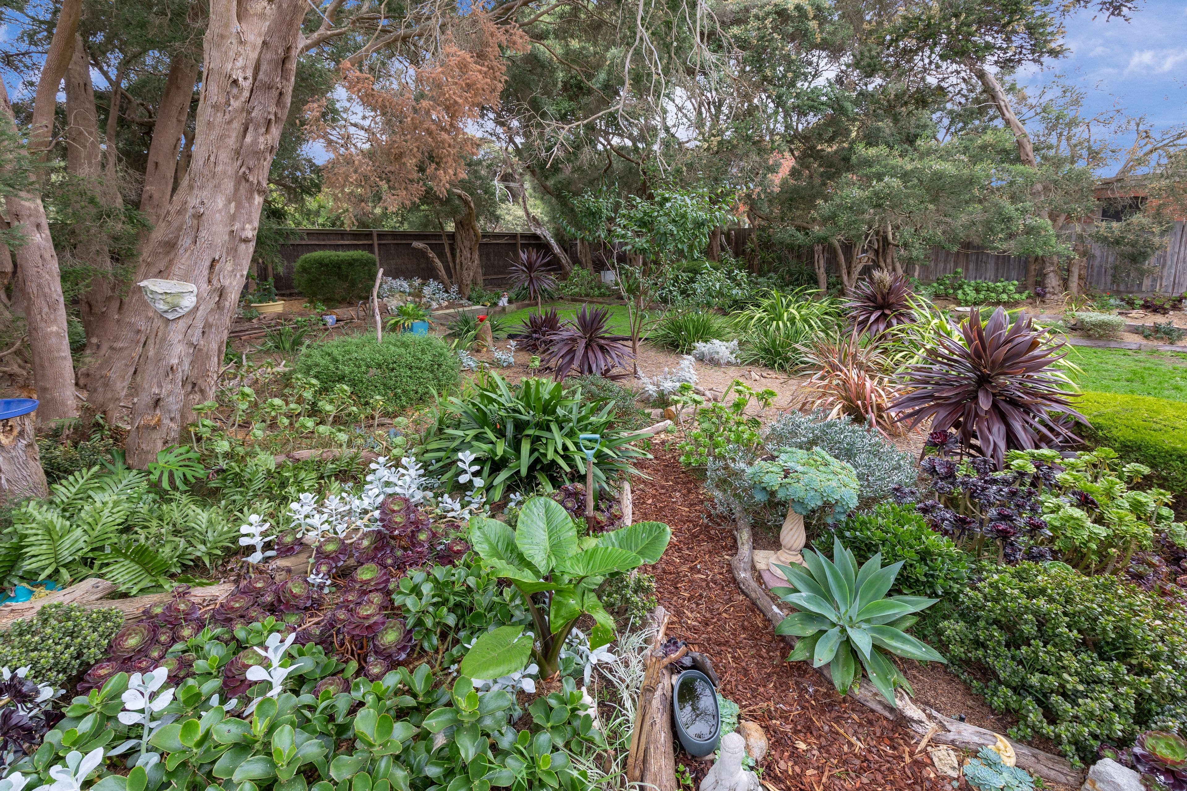 169 Melbourne Road, Rye VIC 3941, Rye - Thumbnail 2