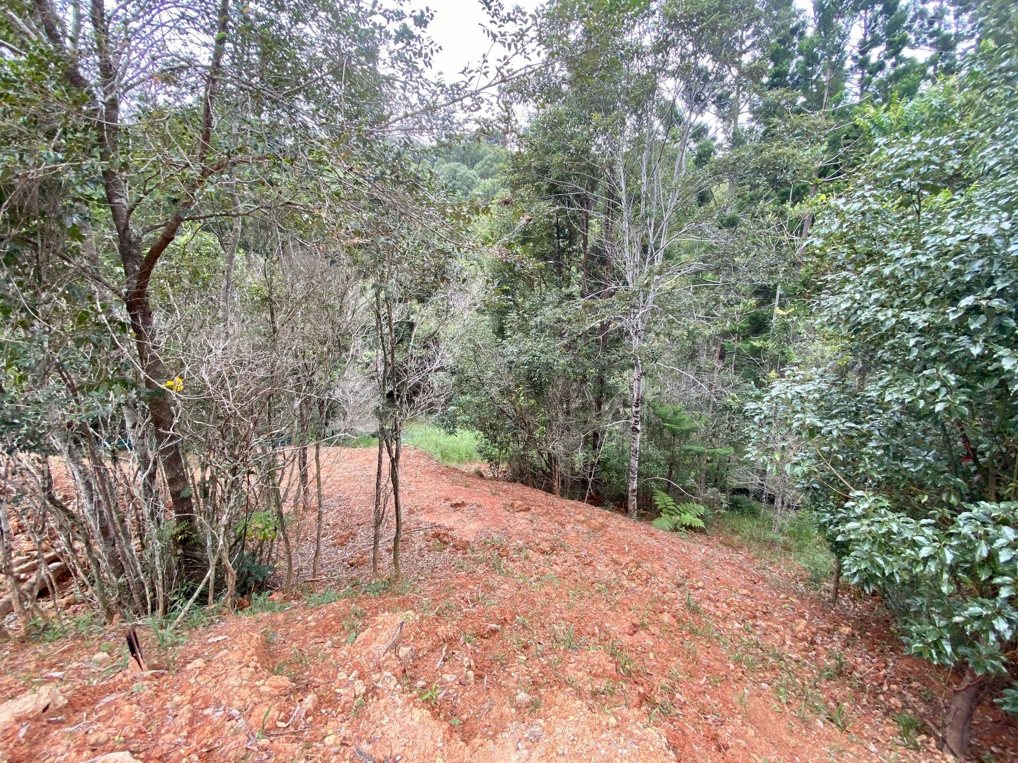 8 Tallowood Terrace, Currumbin Valley QLD 4223, Currumbin Valley - Thumbnail 4