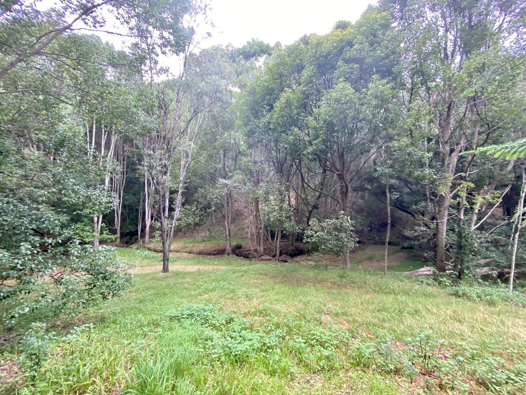 8 Tallowood Terrace, Currumbin Valley QLD 4223, Currumbin Valley - Thumbnail 5