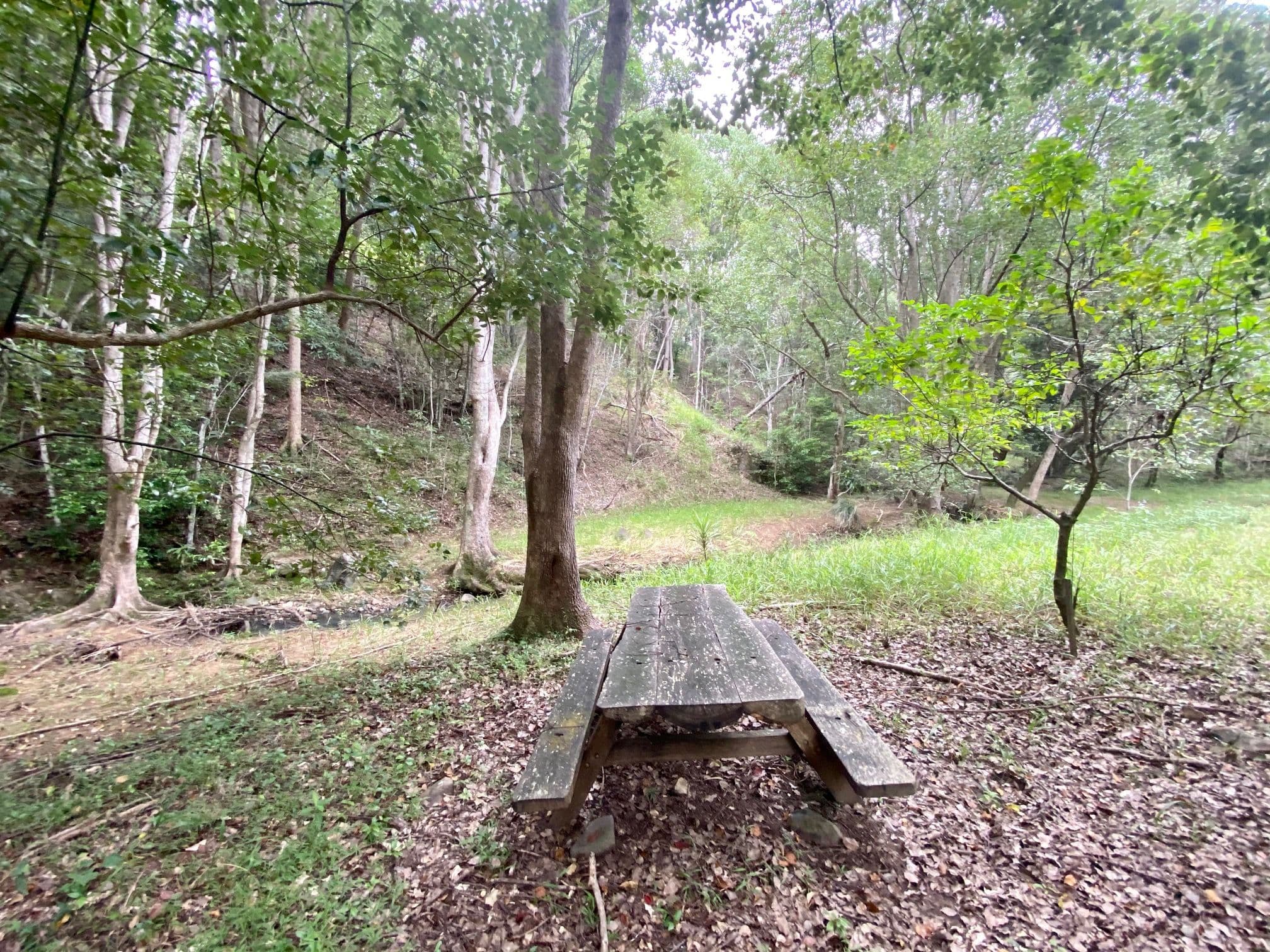 8 Tallowood Terrace, Currumbin Valley QLD 4223, Currumbin Valley - Thumbnail 6