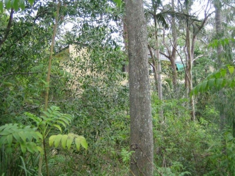 6 Rustic Street, KENMORE HILLS QLD 4069, Kenmore Hills - Thumbnail 5