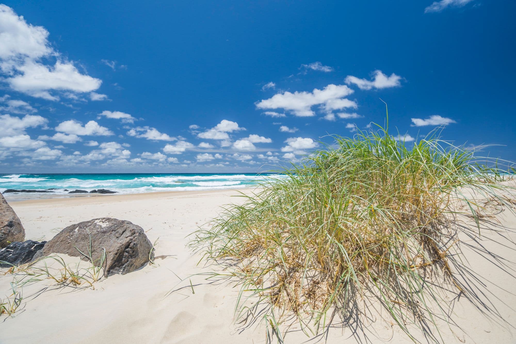 47 She-Oak Lane, Casuarina NSW 2487, Casuarina - Thumbnail 6