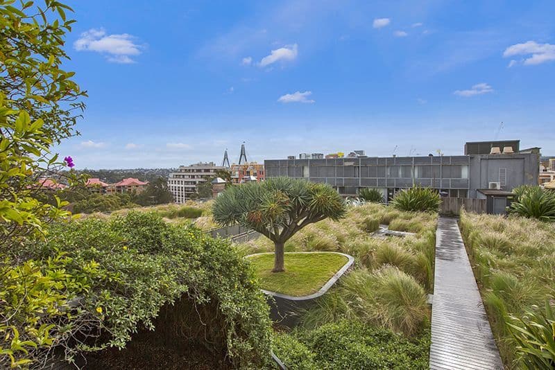 380 Harris Street, Pyrmont NSW 2009, Pyrmont - Thumbnail 5