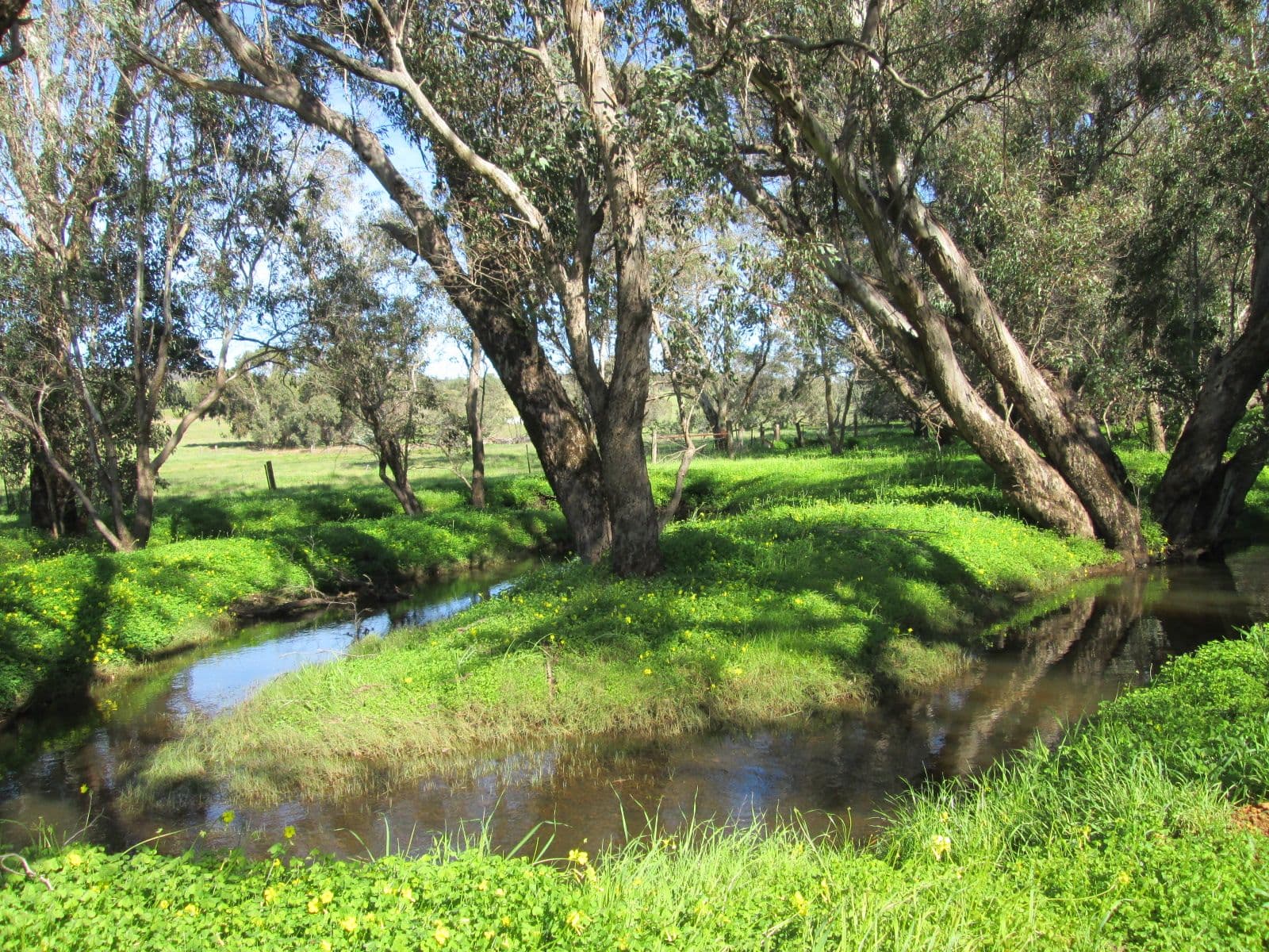 615 Blue Plains Road, Chittering WA 6084, Chittering - Thumbnail 3