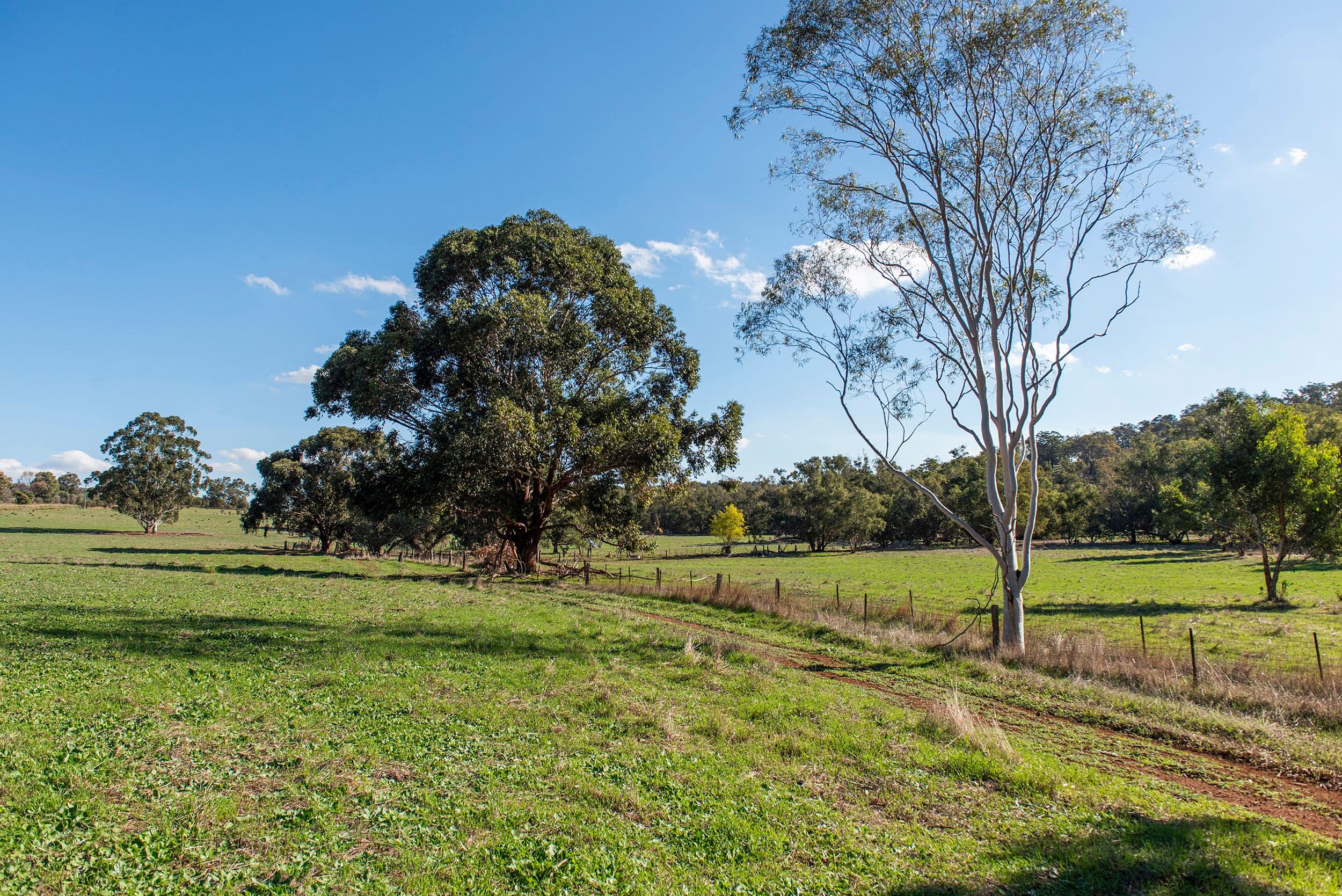 615 Blue Plains Road, Chittering WA 6084, Chittering - Thumbnail 4