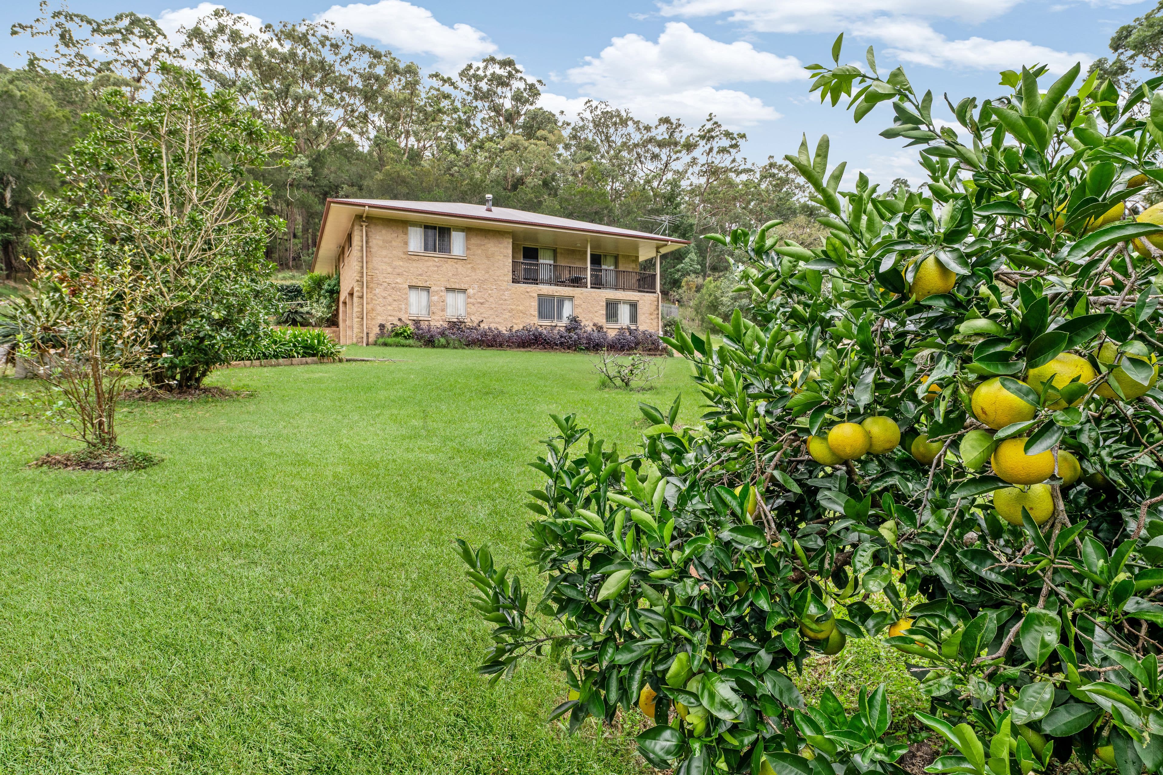 93 Lindeman Road, Beerwah QLD 4519, Beerwah - Image 1