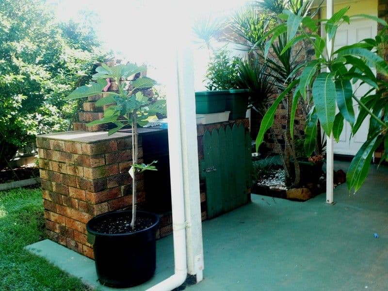 15 Foreshore Parade, BARGARA QLD 4670, Bargara - Thumbnail 8