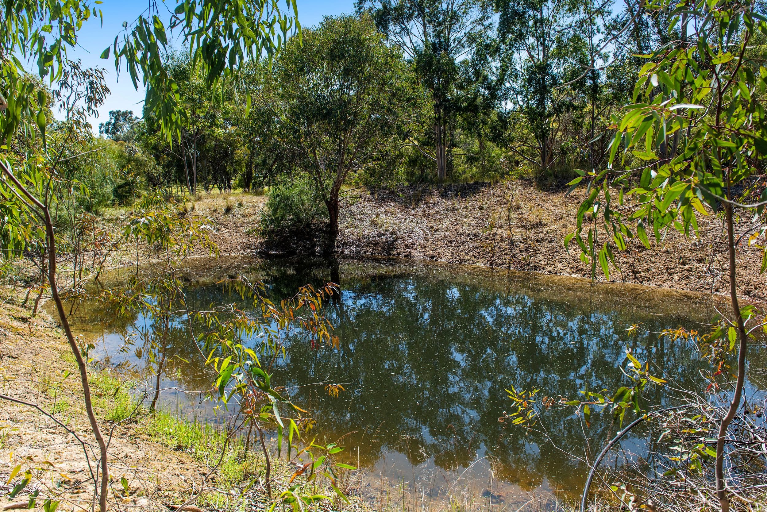 22 Kingsford Place, Bullsbrook WA 6084, Bullsbrook - Thumbnail 7