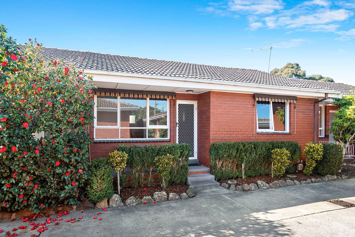 46-48 Wilson Street, Cheltenham VIC 3192, Cheltenham - Image 1