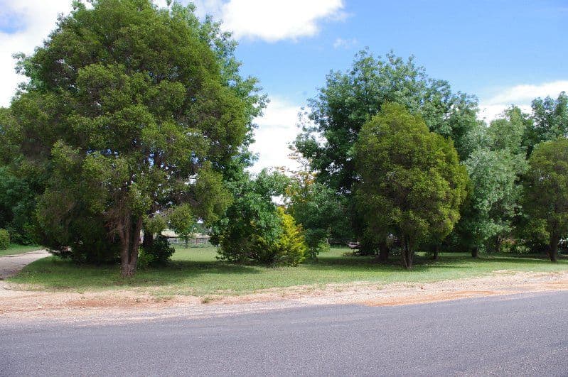 224A Old Bundarra Road, Inverell NSW 2360, Inverell - Thumbnail 2