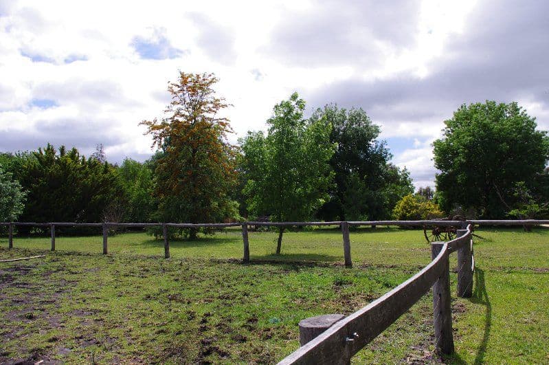 224A Old Bundarra Road, Inverell NSW 2360, Inverell - Thumbnail 4