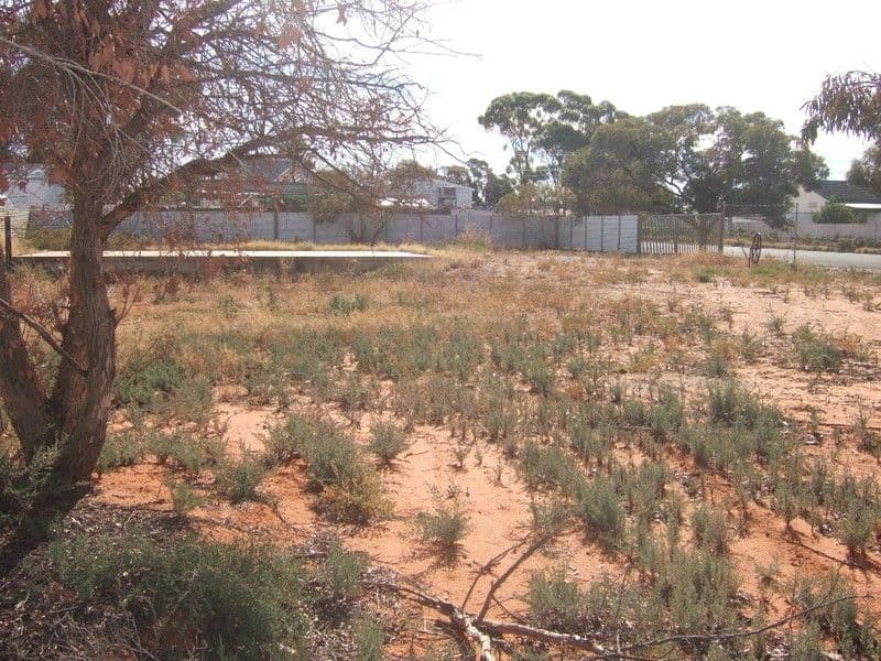 114 Clarke Street, BROKEN HILL NSW 2880, Broken Hill - Thumbnail 3