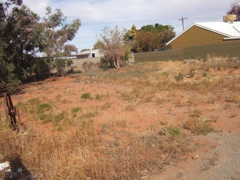 114 Clarke Street, BROKEN HILL NSW 2880, Broken Hill - Thumbnail 4