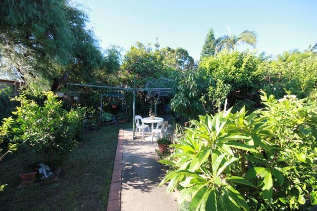 161 Wattle Street, PUNCHBOWL NSW 2196, Punchbowl - Thumbnail 6
