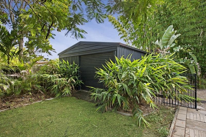 43 Rose Street West, Mango Hill QLD 4509, Mango Hill - Thumbnail 7