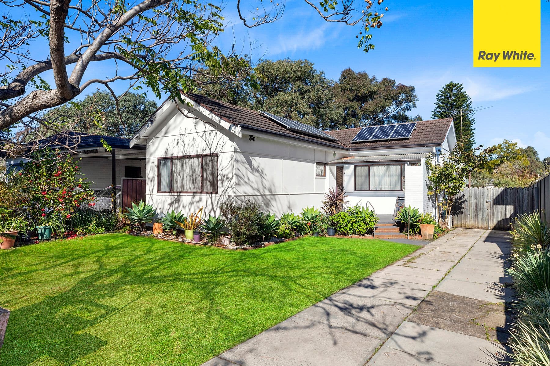 41 Endeavour Road, Georges Hall NSW 2198, Georges Hall - Image 1