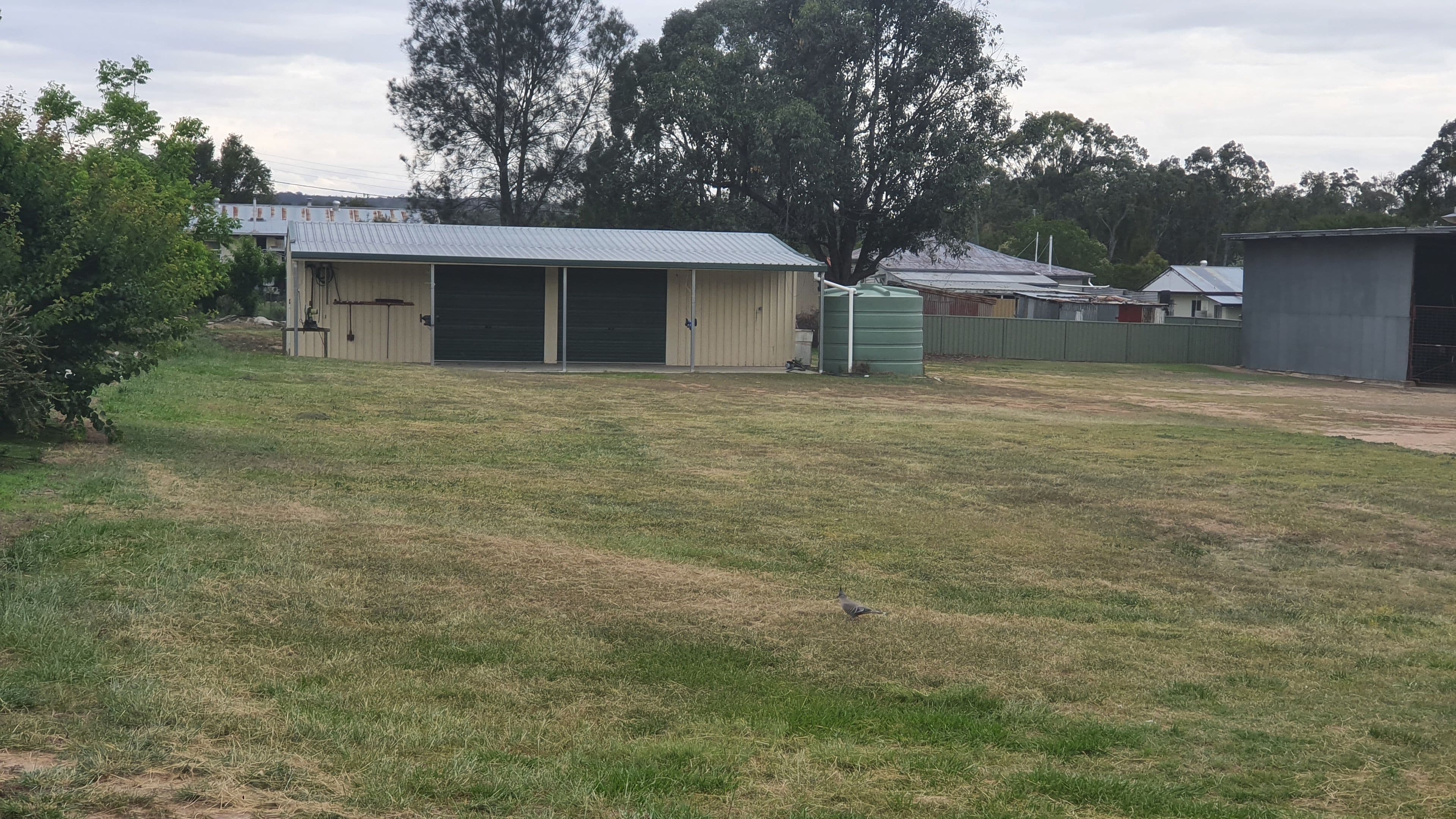 49 South Street, Crows Nest QLD 4355, Crows Nest - Thumbnail 8
