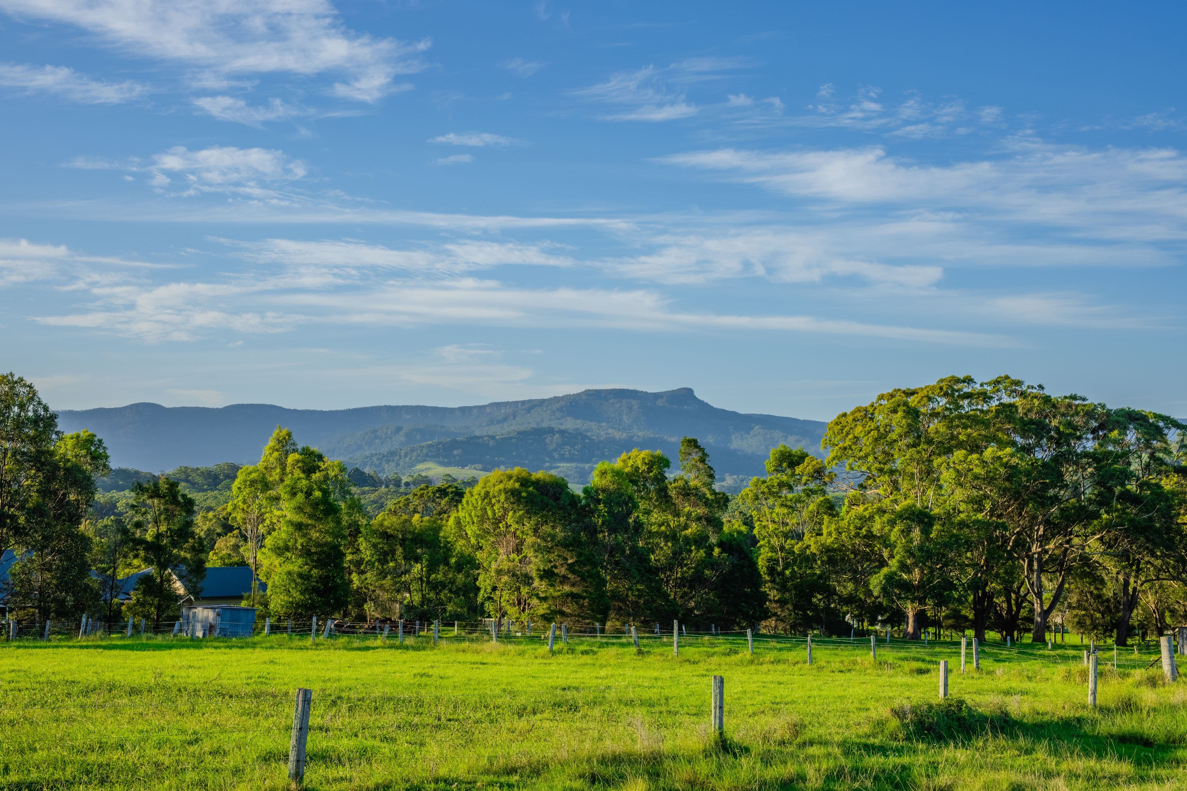 510 Beach Road, Berry NSW 2535, Berry - Thumbnail 4