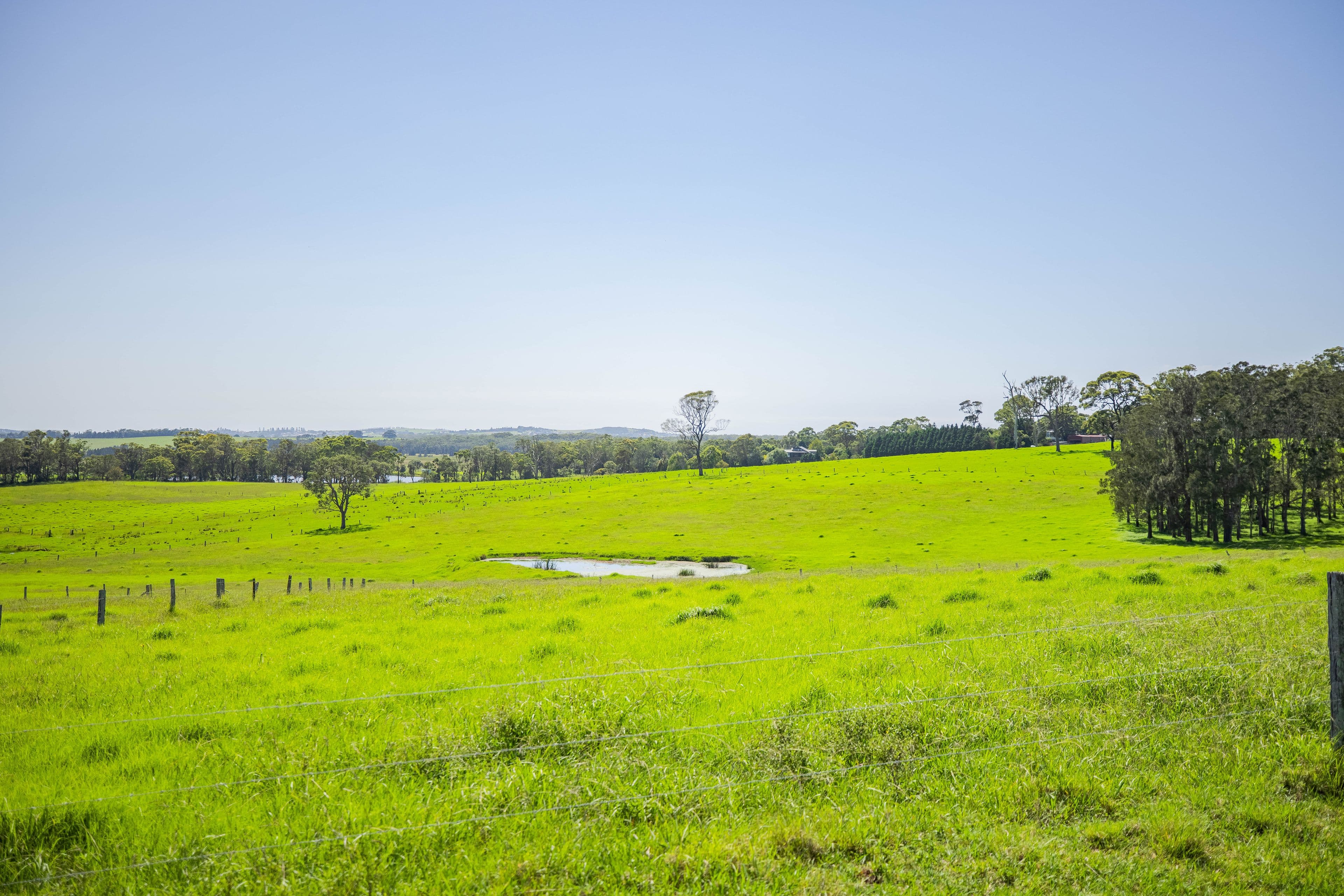 510 Beach Road, Berry NSW 2535, Berry - Thumbnail 5