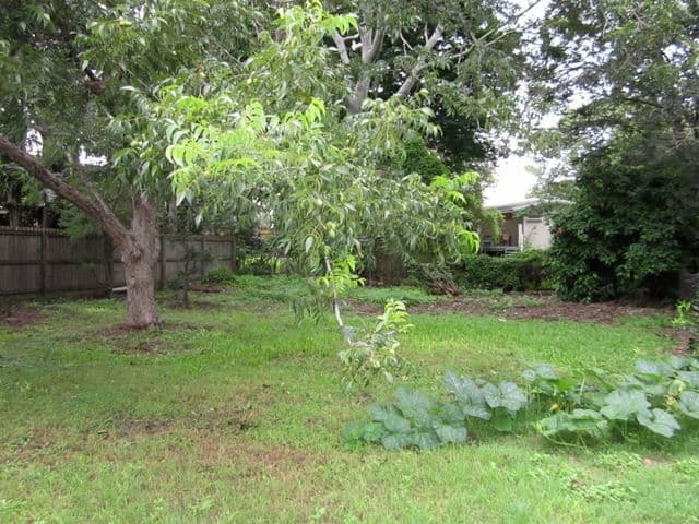 77 Harte Street, CHELMER QLD 4068, Chelmer - Thumbnail 3