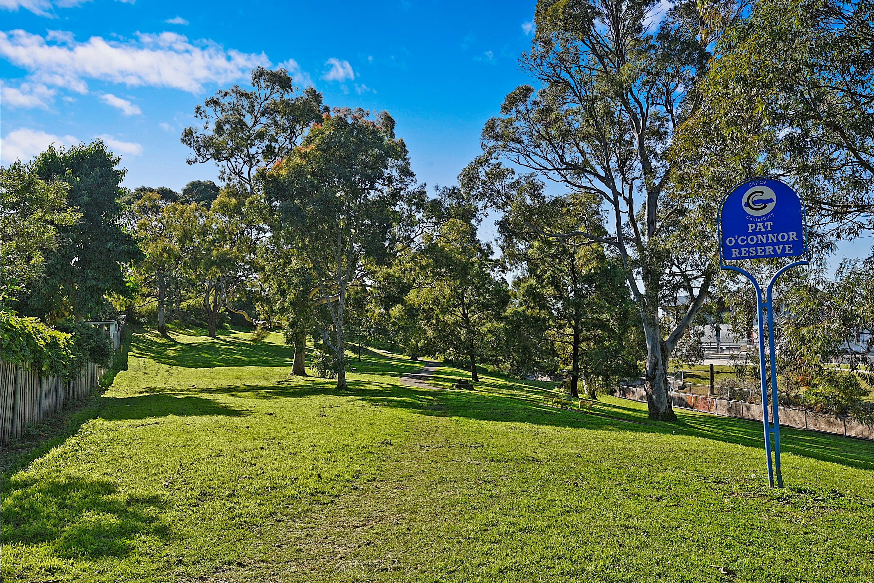 4 Trina Crescent, Canterbury NSW 2193, Canterbury - Thumbnail 5