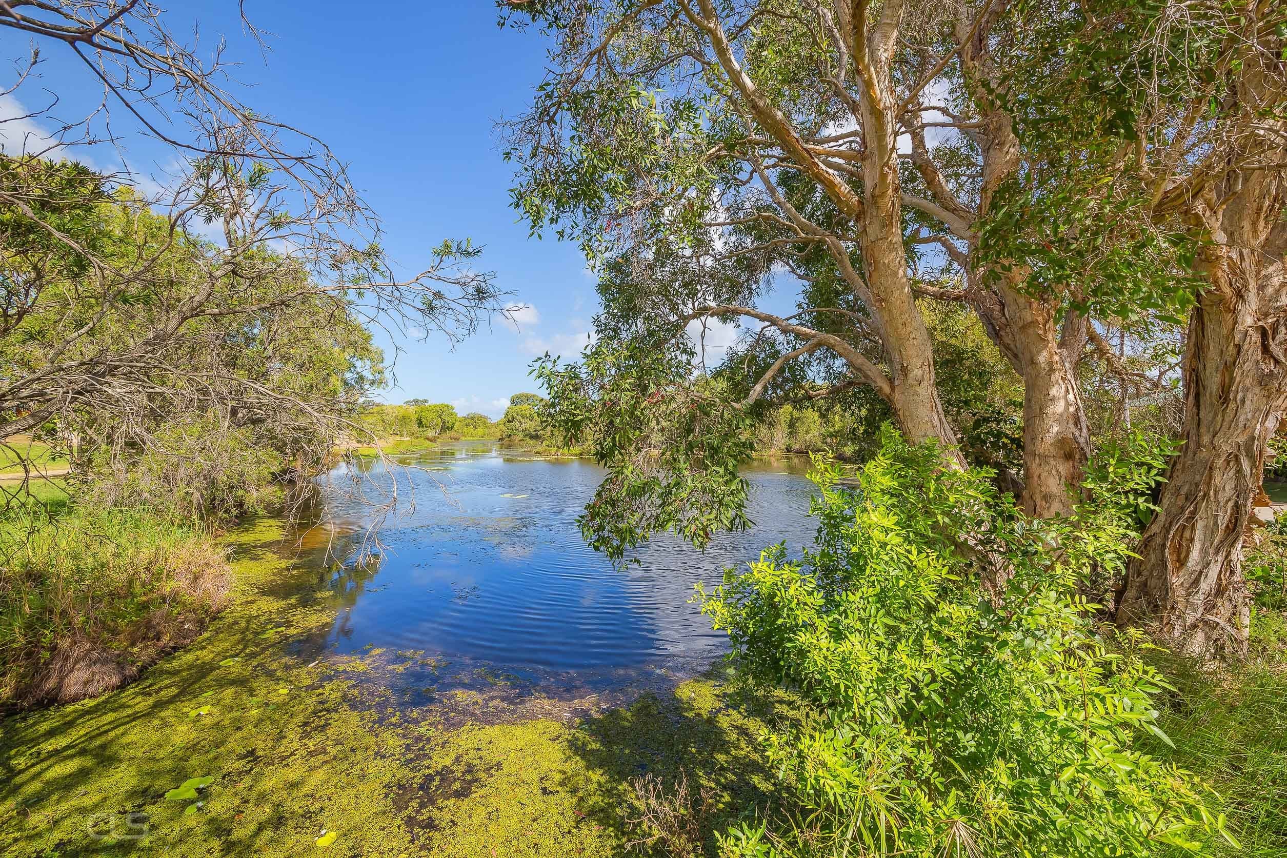 52 Bibimulya Street, Bellara QLD 4507, Bellara - Thumbnail 2