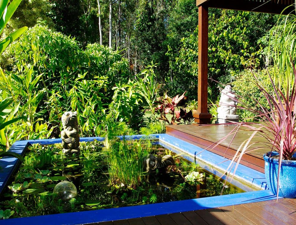 181 Wilson Road, ILKLEY QLD 4554, Ilkley - Thumbnail 7