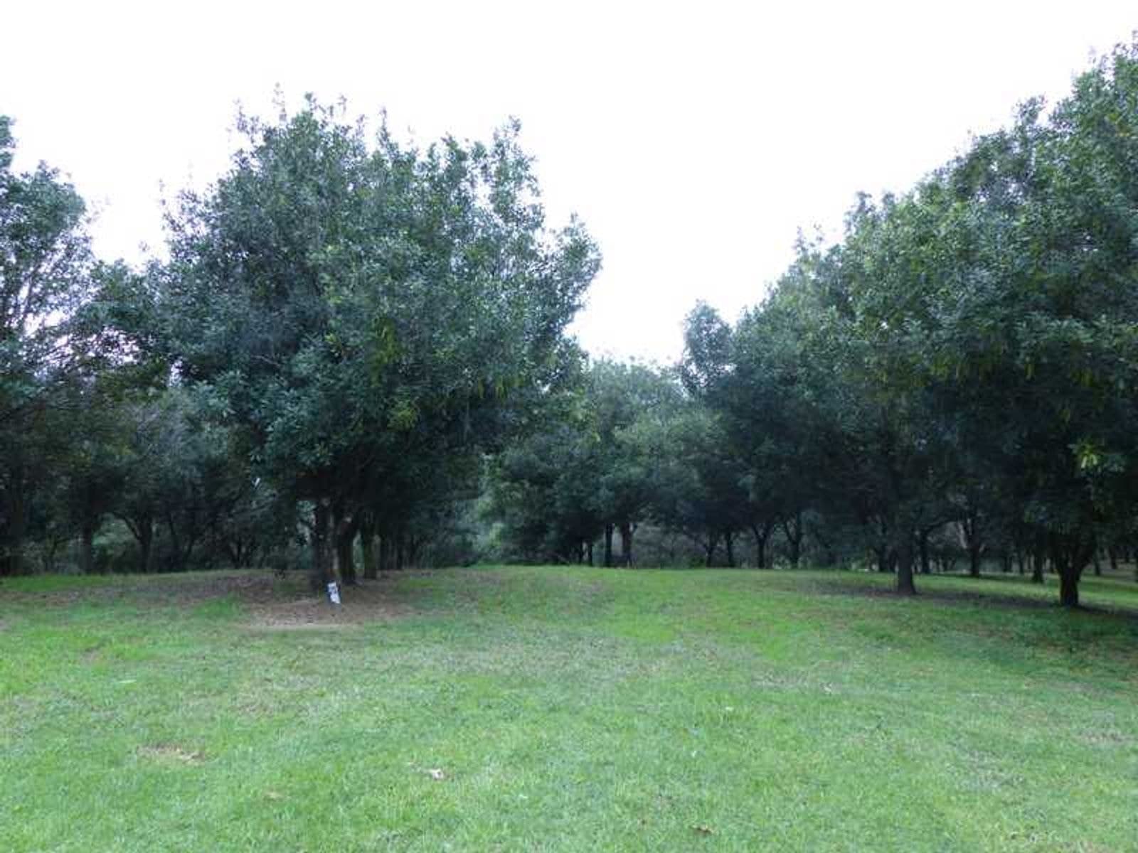 1300 Dunoon Road, Dunoon - Thumbnail 6