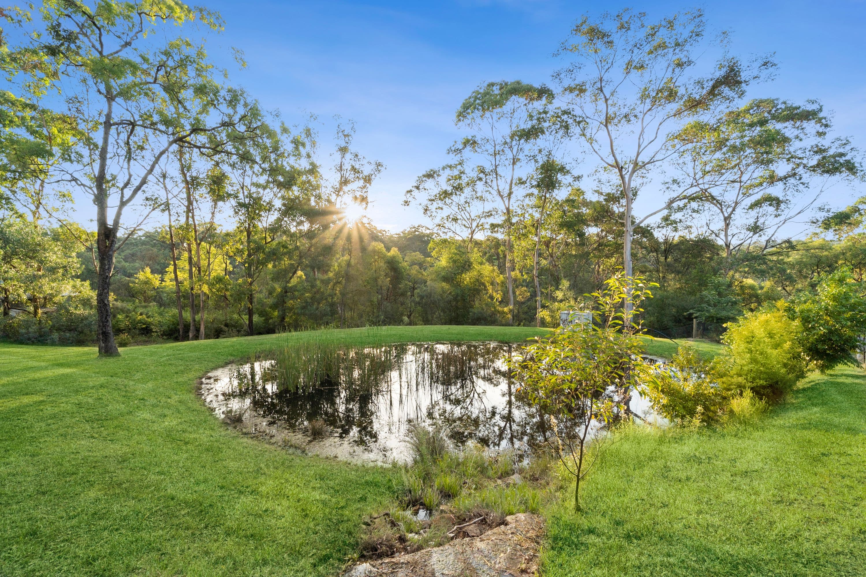 587 East Kurrajong Road, East Kurrajong NSW 2758, East Kurrajong - Thumbnail 5