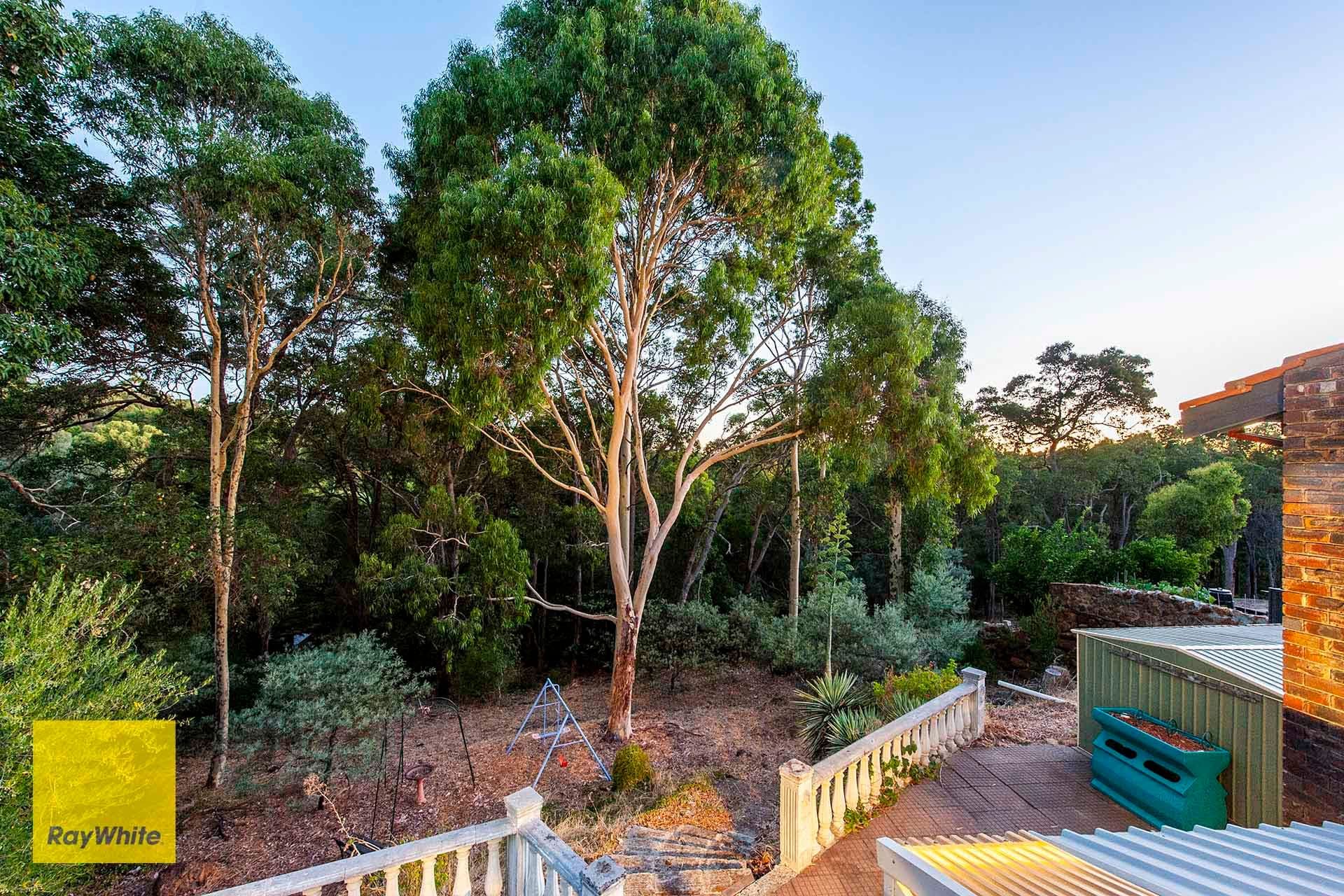 17 Cabarita Road, Kalamunda WA 6076, Kalamunda - Thumbnail 5