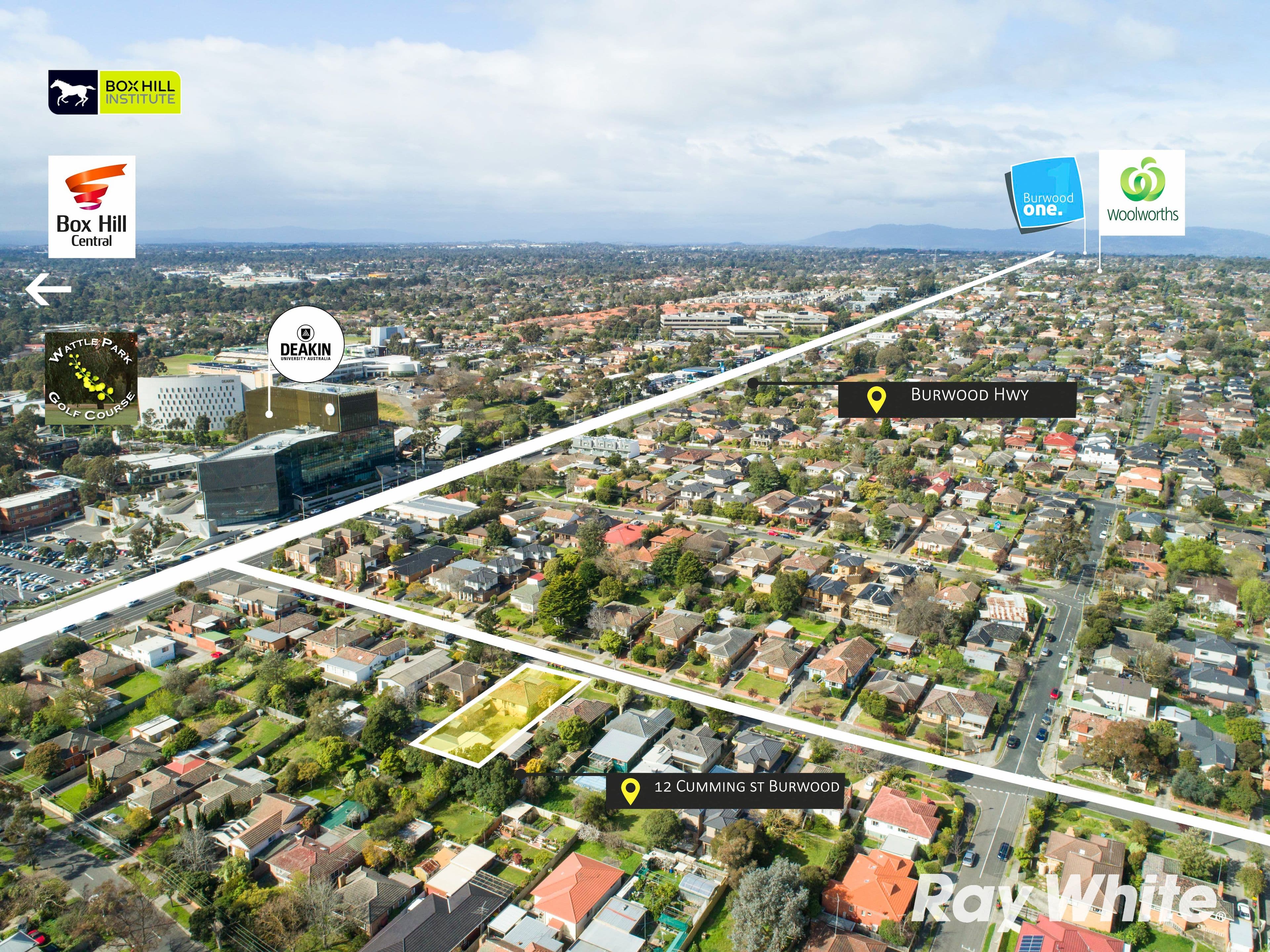 12 Cumming Street, Burwood VIC 3125, Burwood - Thumbnail 3