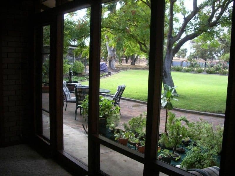 12 Naracoorte Road, BORDERTOWN SA 5268, Bordertown - Thumbnail 5