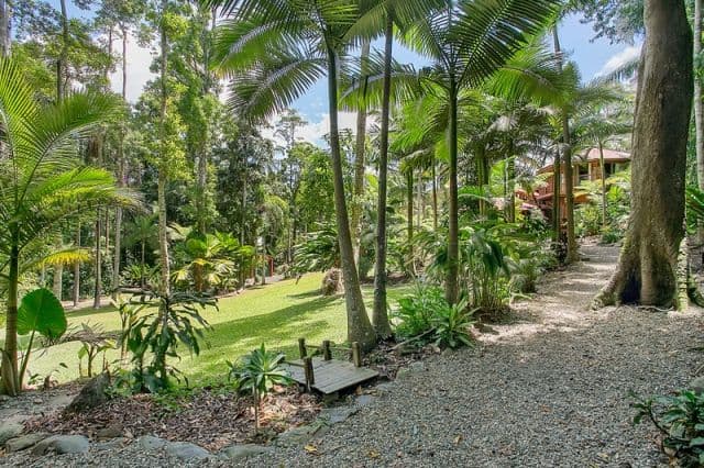47 Butler Drive, Kuranda QLD 4881, Kuranda - Thumbnail 8