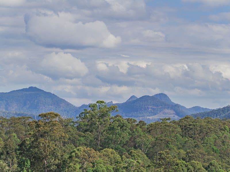 71 Sky Royal Terrace, BURLEIGH HEADS QLD 4220, Burleigh Heads - Thumbnail 6