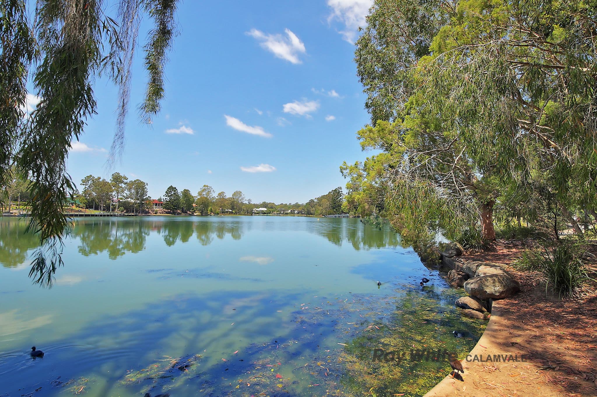 36 Wivenhoe Circuit, Forest Lake QLD 4078, Forest Lake - Thumbnail 5