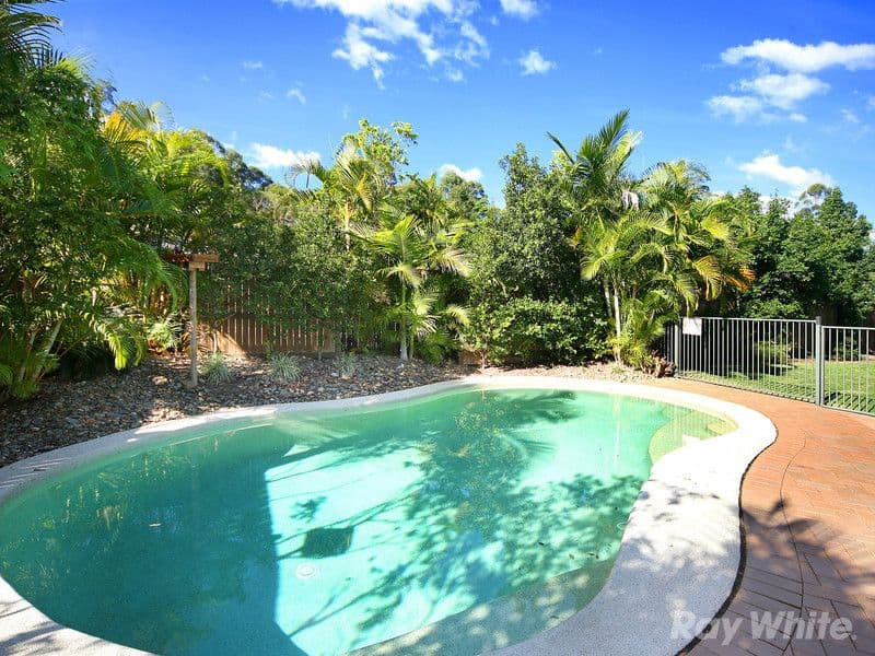 239 Mons School Road, BUDERIM QLD 4556, Buderim - Thumbnail 8