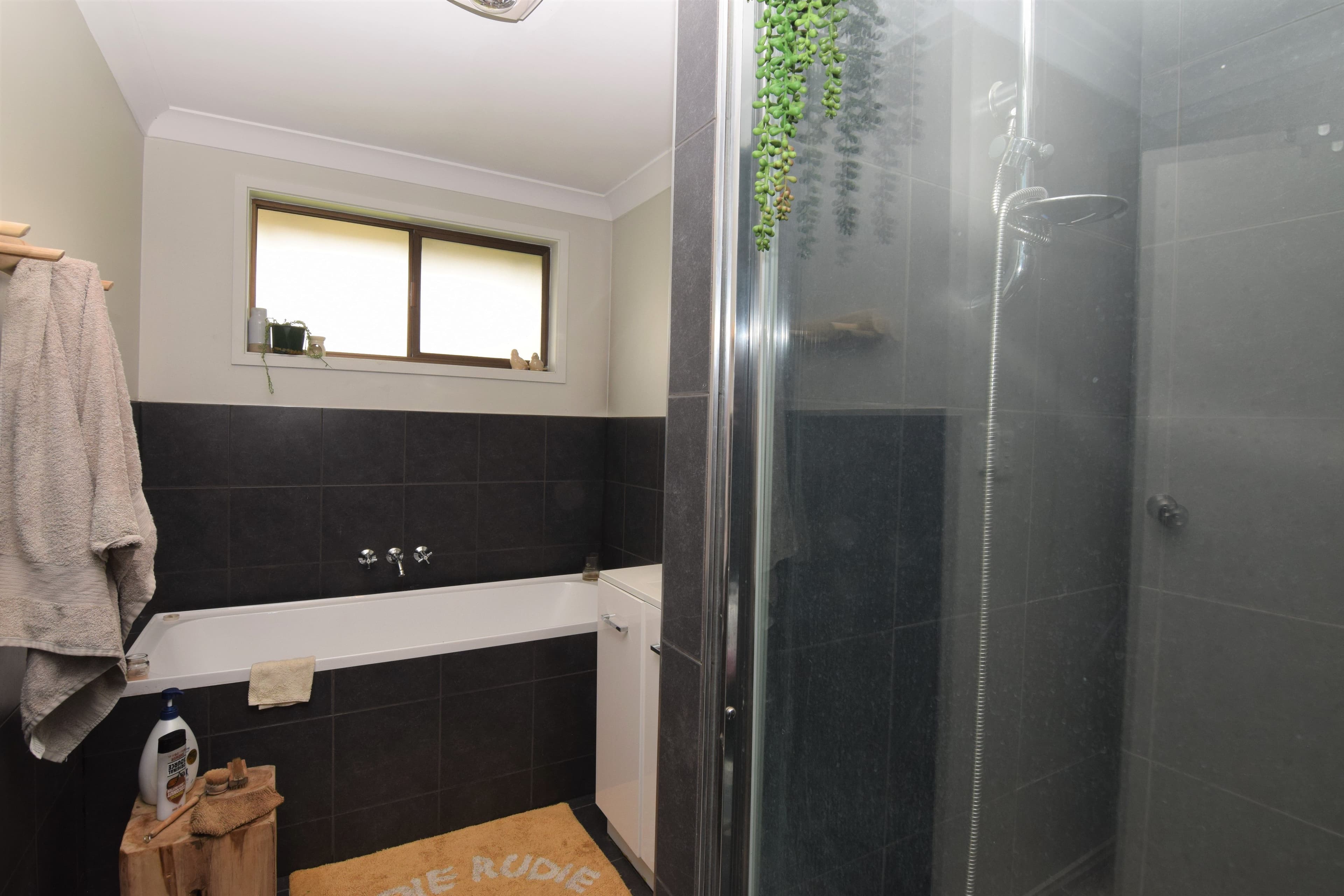 91 Clive Street, Tenterfield NSW 2372, Tenterfield - Thumbnail 6
