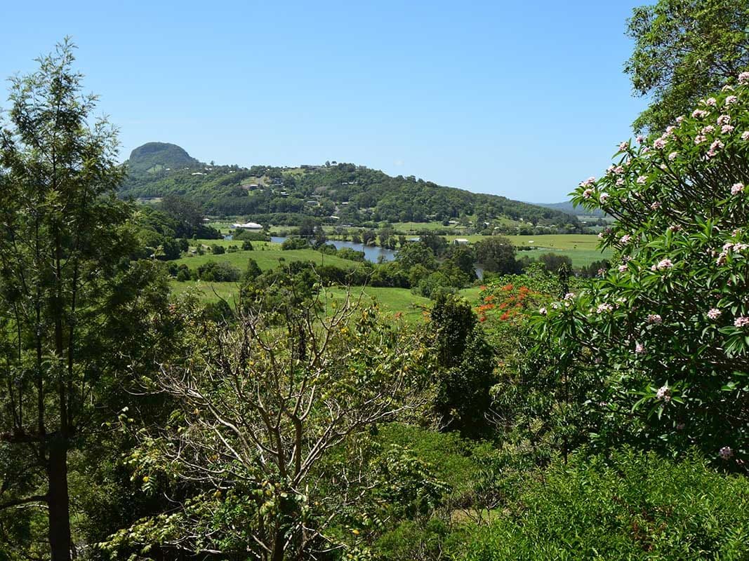 658 Yandina Bli Bli Road, Bli Bli QLD 4560, Bli Bli - Thumbnail 4