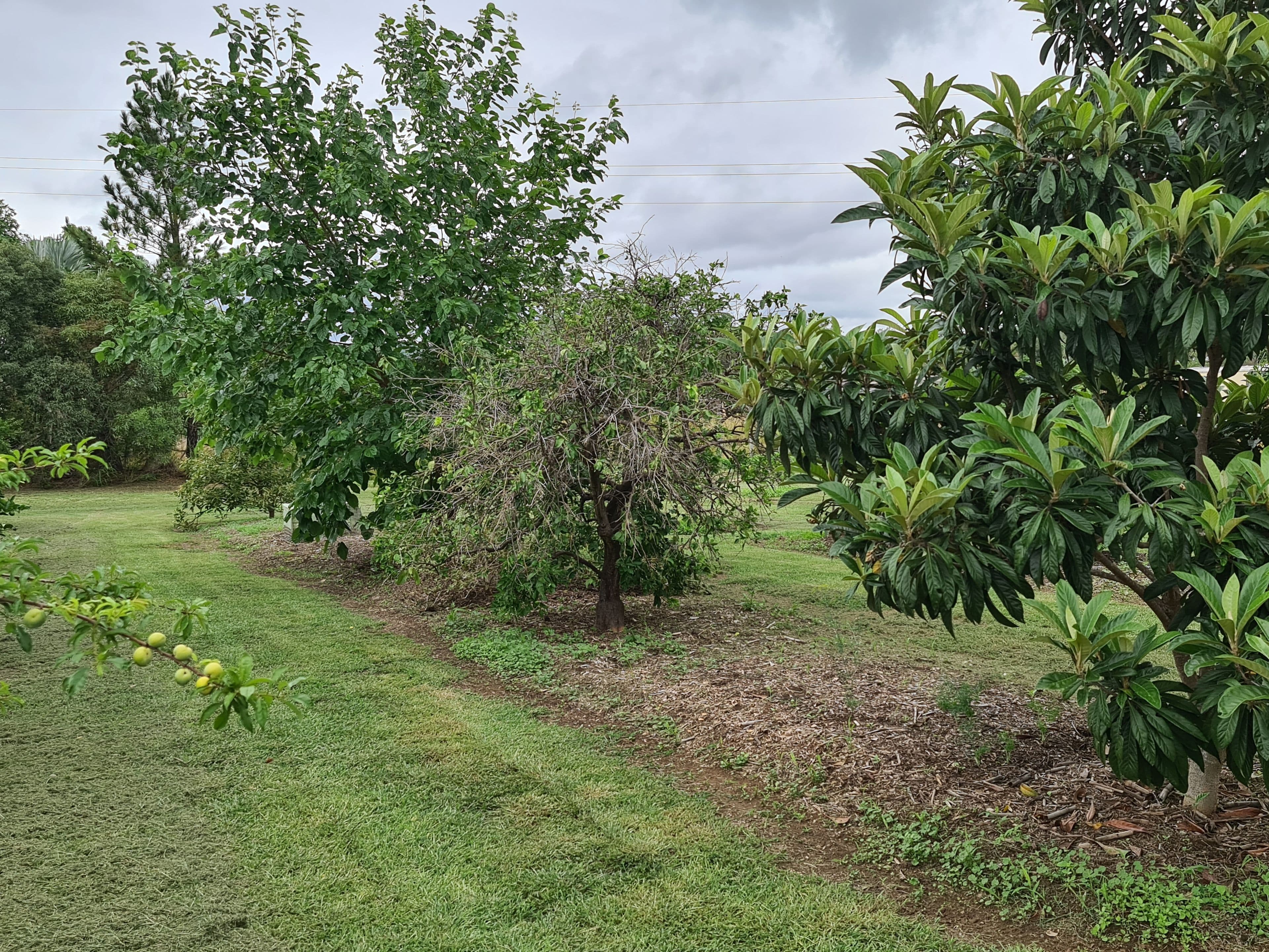 20-22 Tableland Road, Gayndah QLD 4625, Gayndah - Thumbnail 8