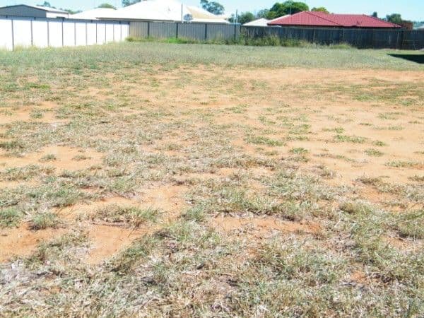 50 Windmill Road, CHINCHILLA QLD 4413, Chinchilla - Thumbnail 2