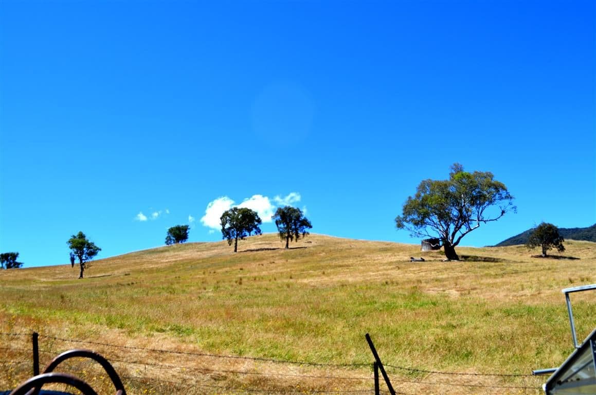 190 Snowy Mountains Highway, Tumut - Thumbnail 8