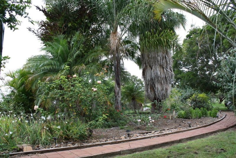 37A Dredge Avenue, Douglas Park, NSW, 2569, Douglas Park - Thumbnail 6