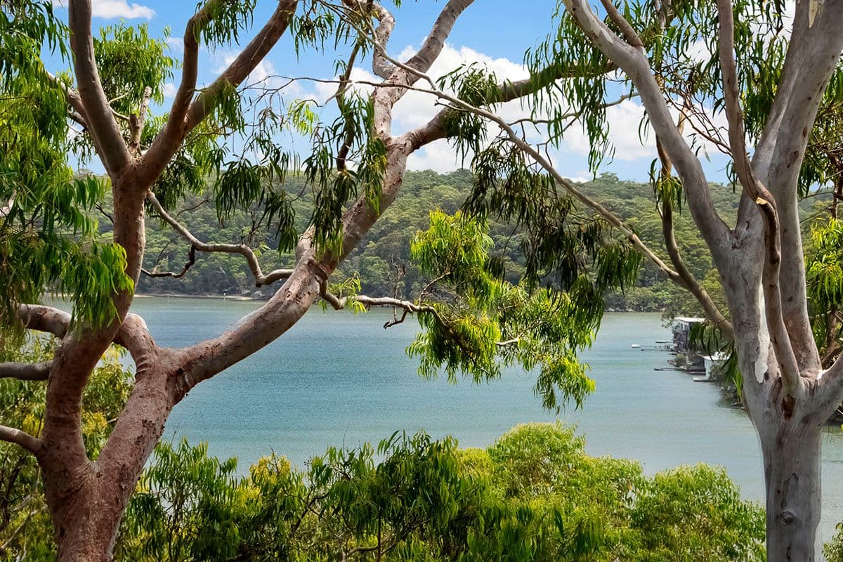 17 Stuart Close, ILLAWONG NSW 2234, Illawong - Thumbnail 2
