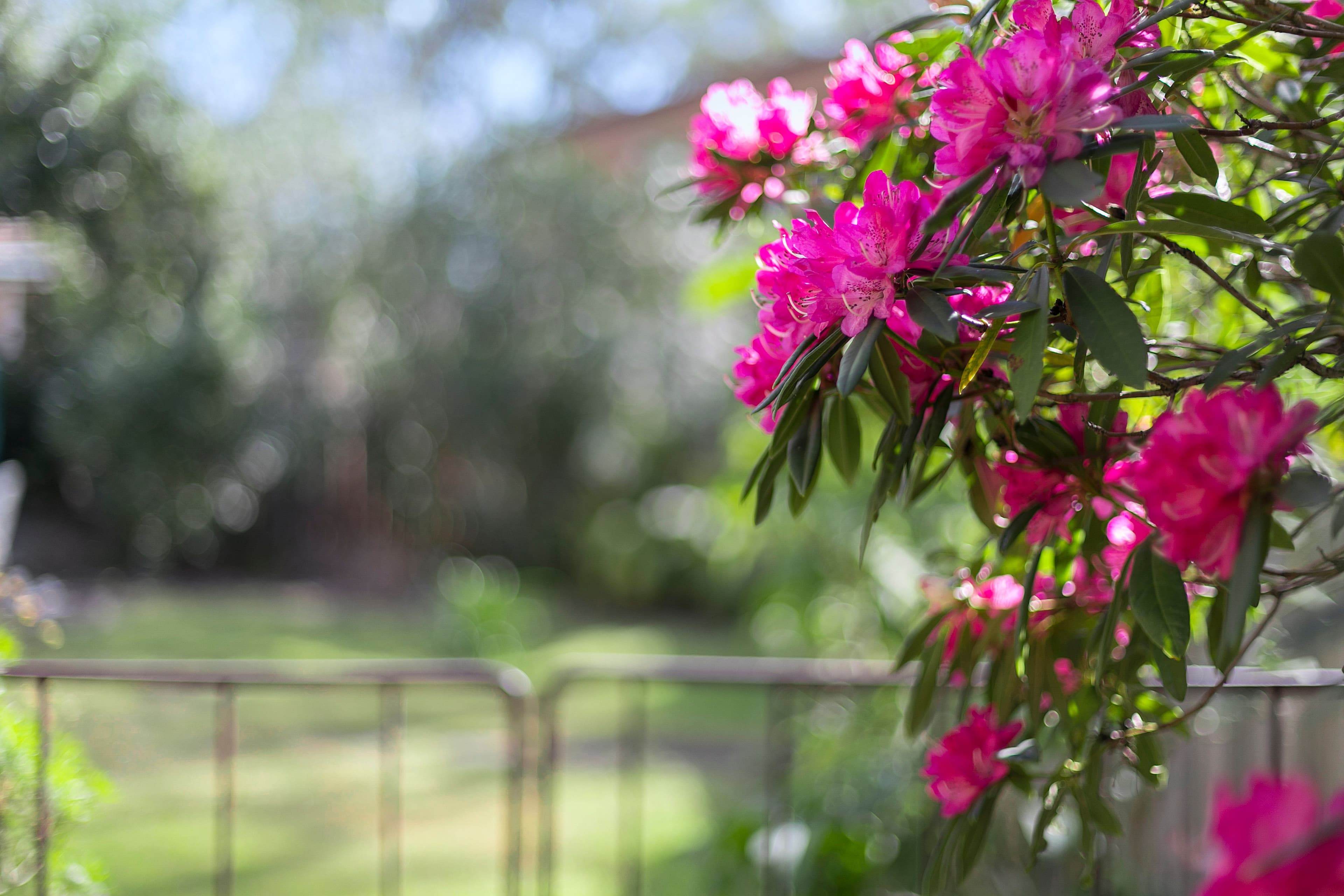 12 Brook Road, Seaforth - Thumbnail 6