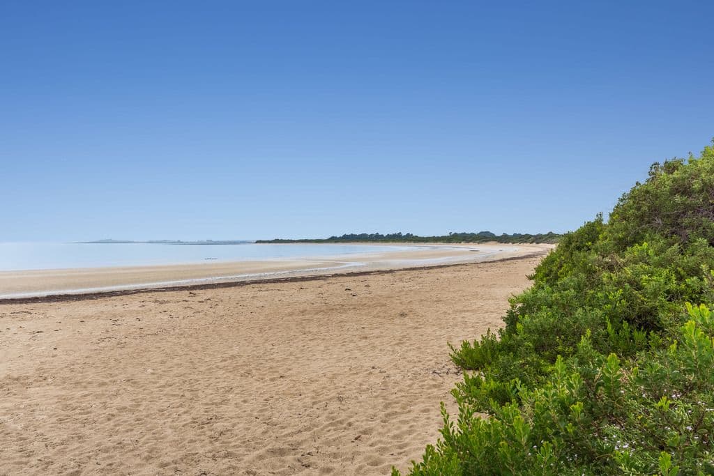 24 Ocean View Drive, Greens Beach TAS 7270, Greens Beach - Thumbnail 6