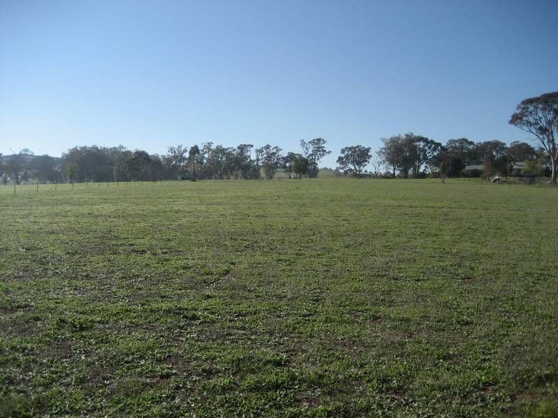 51 Milly Milly Lane, YOUNG NSW 2594, Young - Image 1