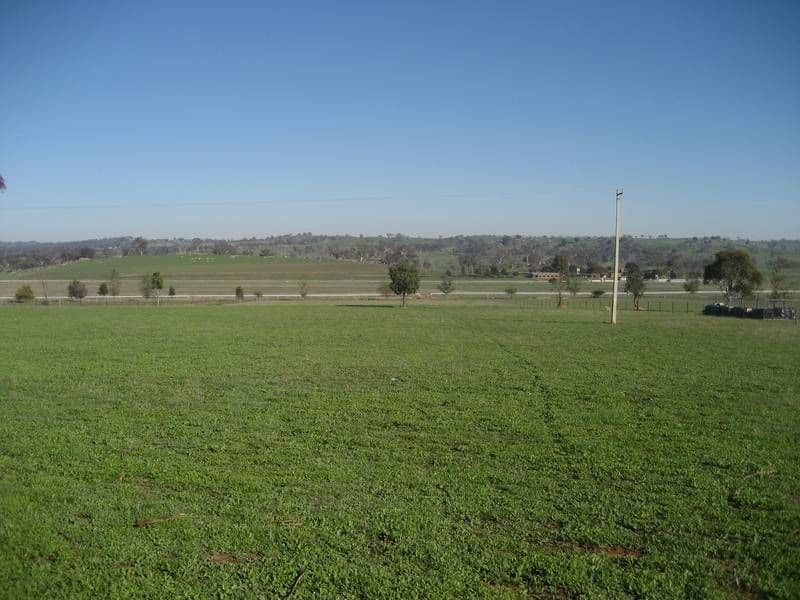 51 Milly Milly Lane, YOUNG NSW 2594, Young - Thumbnail 2