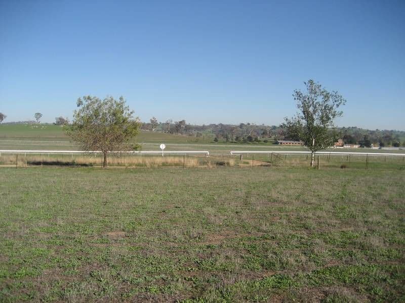 51 Milly Milly Lane, YOUNG NSW 2594, Young - Thumbnail 4