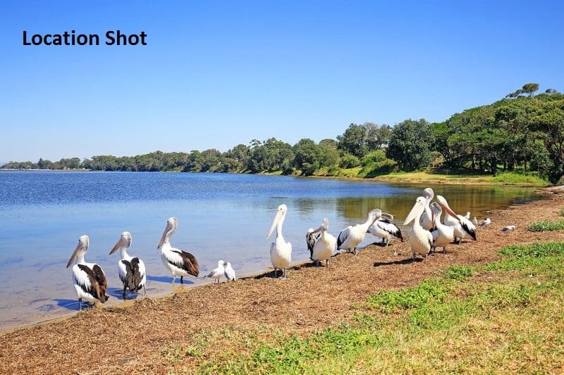 80 Jerry Bailey Road, Shoalhaven Heads NSW 2535, Shoalhaven Heads - Thumbnail 6